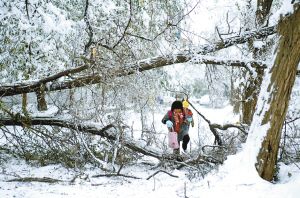 北方暴雪百万人受灾 冀豫两地有学生死亡